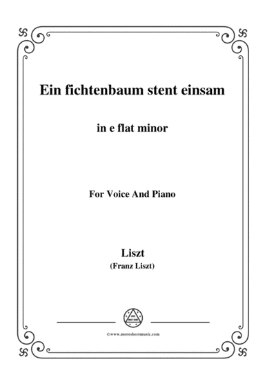 Liszt-Ein fichtenbaum stent einsam in e flat minor,for Voice and Piano (arr. MSM)