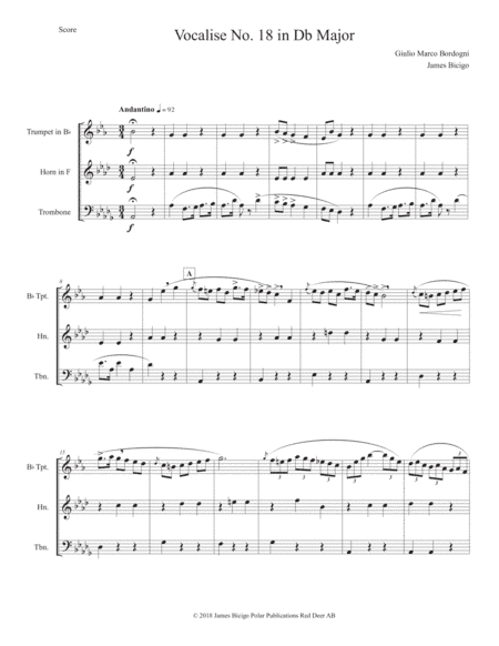 Vocalise No. 18 in Db Major (arr. James Bicigo)