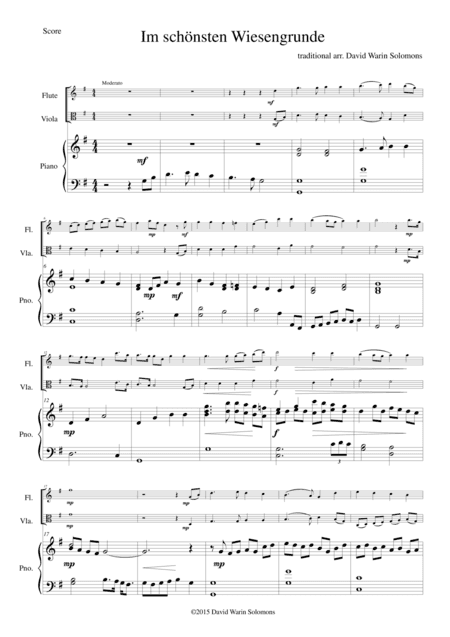 Im schönsten Wiesengrunde for flute, viola and piano (arr. David Warin Solomons)