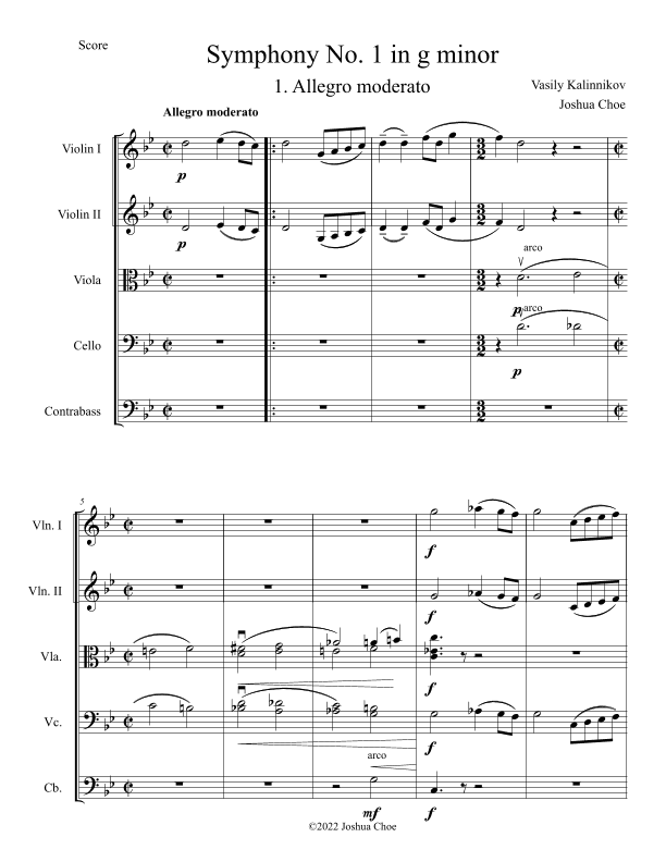 Symphony No. 1 in g minor, Movement 1 (Arranged for String Orchestra) (arr. Joshua Choe)