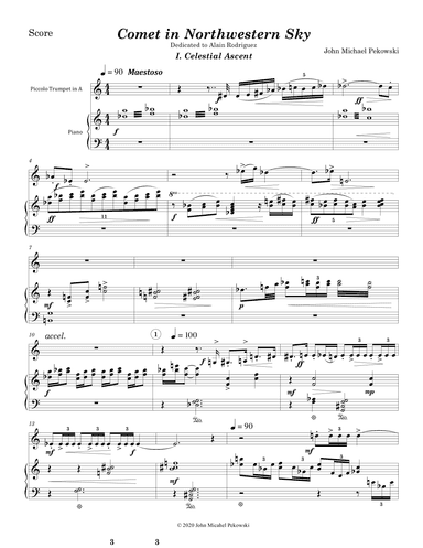 Comet in Northwestern Sky