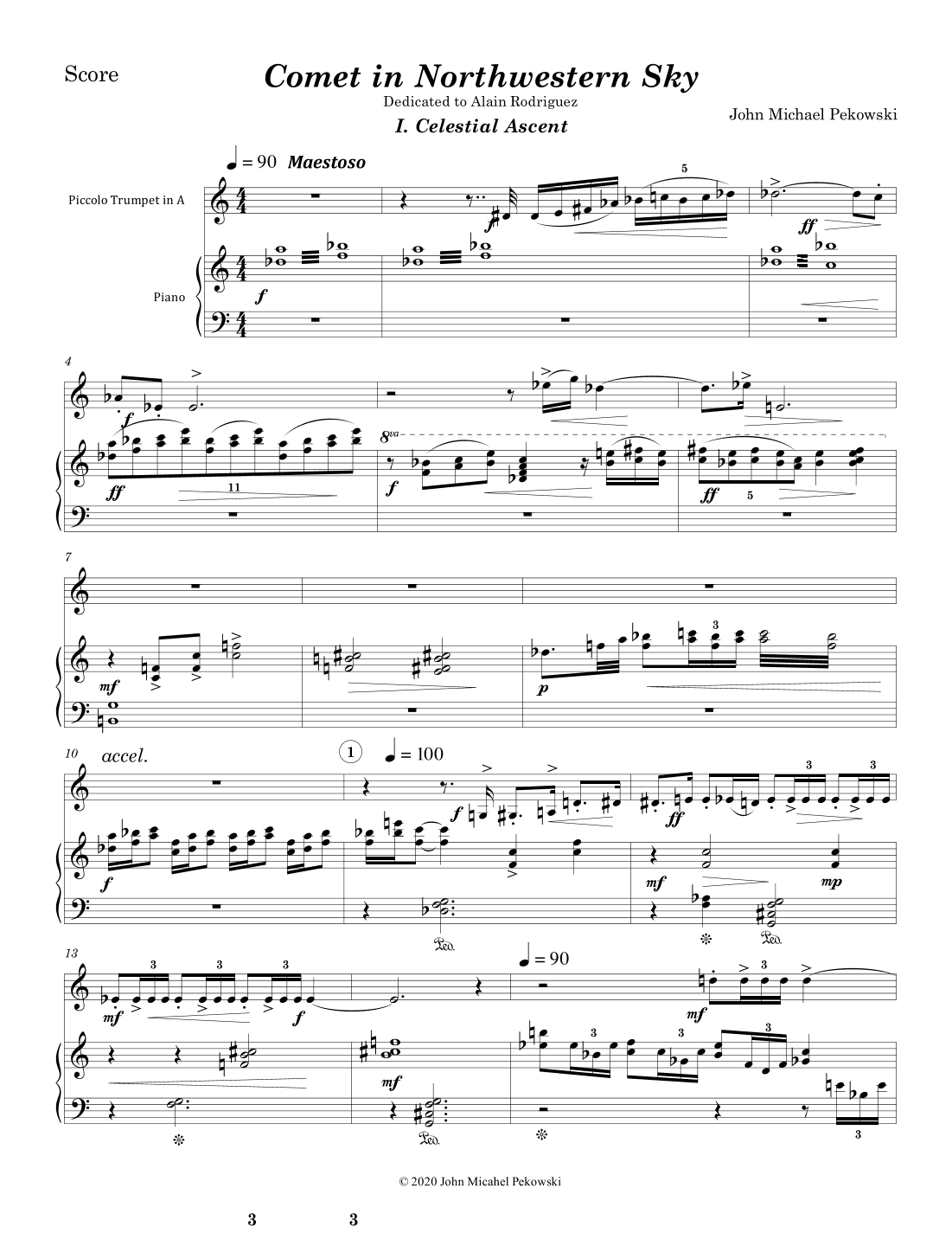 Comet in Northwestern Sky