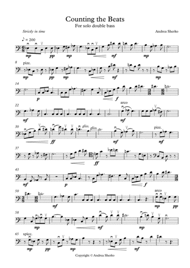 Counting the Beats for Solo Double Bass