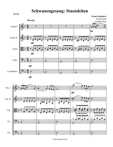 Ständchen from Schwanengesang, D.957 (arr. Joshua Choe)