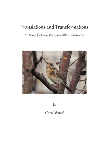 Translations and Transformations