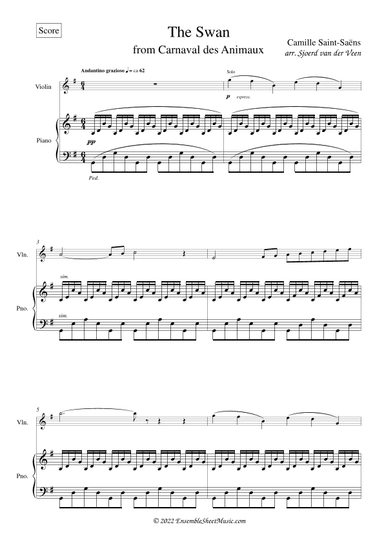 The Swan from Carnival of Animals | Le Cygne from Carnaval des Animaux (arr. Sjoerd van der Veen)