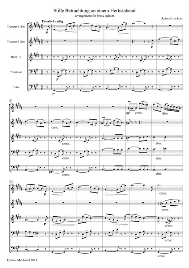 Stille Betrachtung an einem Herbstabend (arr. Edition Maulwurf)