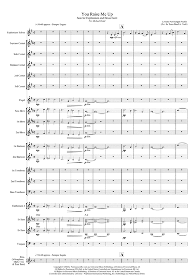 You Raise Me Up (arr. Morgan Pochin, Andi Cook)