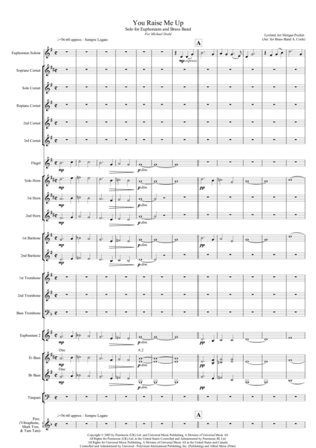 You Raise Me Up (arr. Morgan Pochin, Andi Cook)