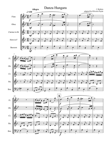 Hungarian dance no. 5 by J. Brahms for woodwind quintet (arr. Oliver Payán)