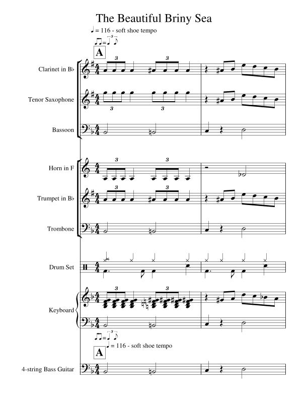 The Beautiful Briny Sea - Score Only (arr. Craig Curzon)