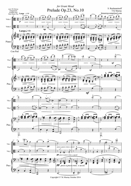 Rachmaninoff - Prelude Op23 No10 - 2 Violas Viola Duo Viola Group (arr. Tim TK Murray)