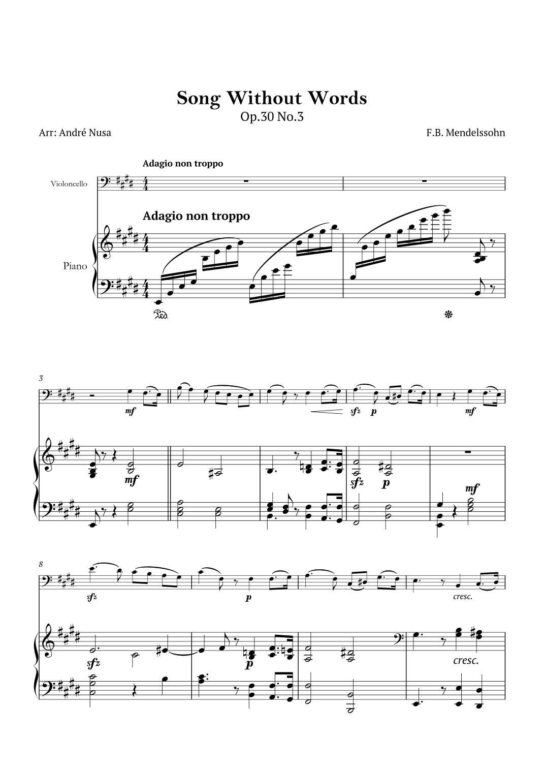 Song Without Words Op.30 No.3 (arr. André Nusa)