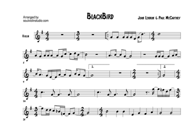 Blackbird (arr. Soul Violin)