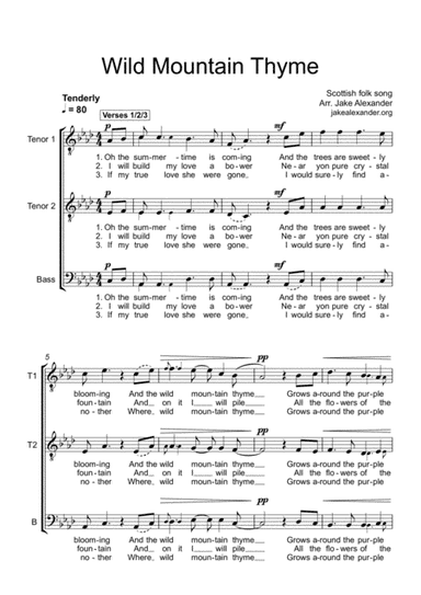 Wild Mountain Thyme - TTB a cappella (arr. Jake Alexander)