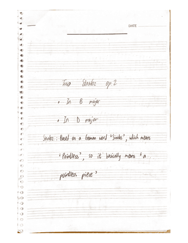 Two sinnloz op.2
