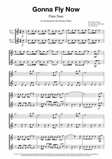 Gonna Fly Now (arr. Tim Curd)
