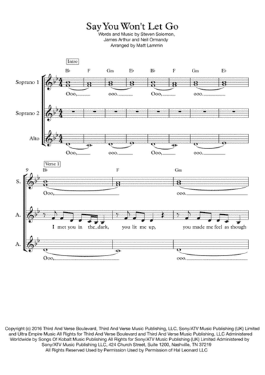Say You Won't Let Go (arr. Matt Lammin)