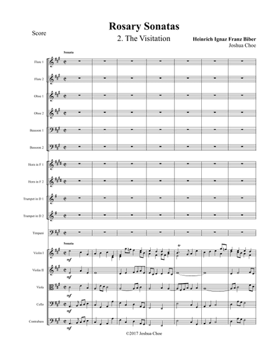 Rosary Sonatas: The Visitation (arr. Joshua Choe)