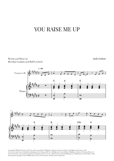 You Raise Me Up (arr. Cadenza Editions)