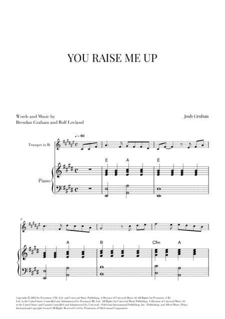 You Raise Me Up (arr. Cadenza Editions)