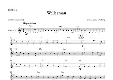 Wellerman (arr. Tom Drummond)