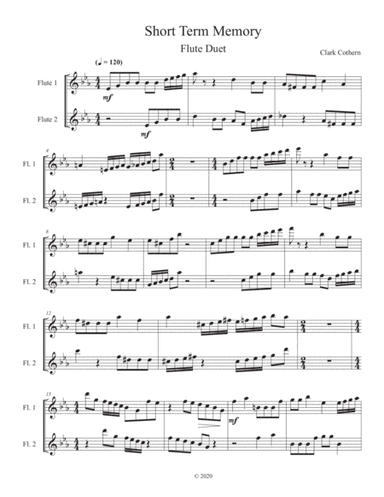Short Term Memory (Flute Duet)