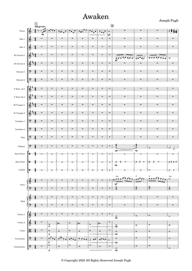 Awaken(Orchestra)