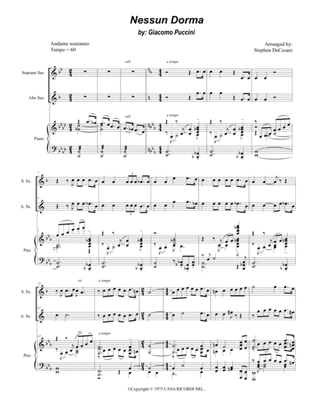 Nessun Dorma (arr. Stephen DeCesare)