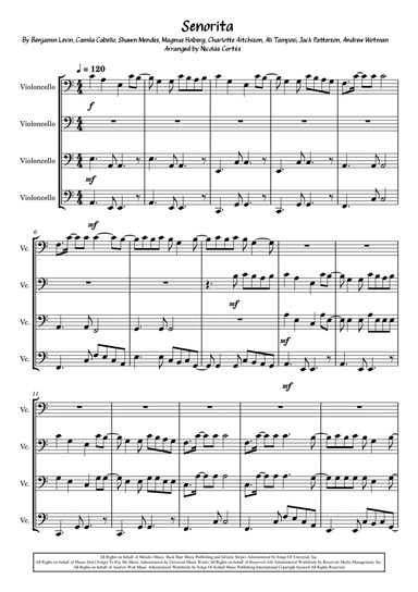 Senorita (arr. Nicolás Cortés Castillo)
