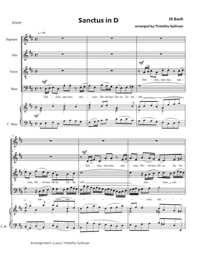 Sanctus in D Major (arr. Timothy Sullivan)