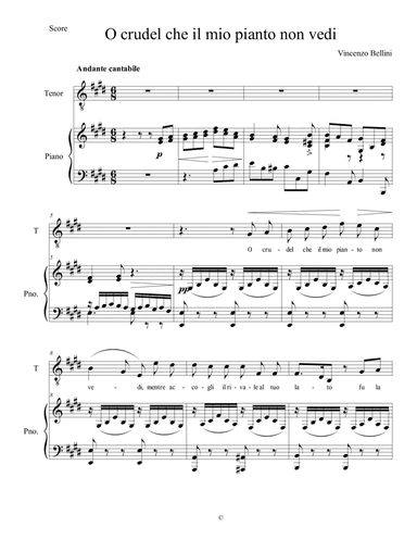 O crudel che il mio pianto non vedi  - Vincenzo Bellini (arr. Stefano Strano)