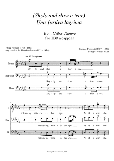 Shyly and slow a tear (Una furtiva lagrima) TBB a cappella, B flat minor (arr. Ivana Tuskan)