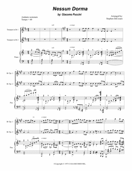Nessun Dorma (arr. Stephen DeCesare)