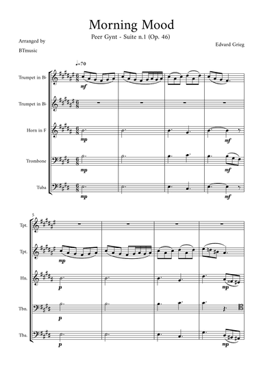 Morning Mood (Peer Gynt Suite N.1, Op 46) (arr. BTmusic)