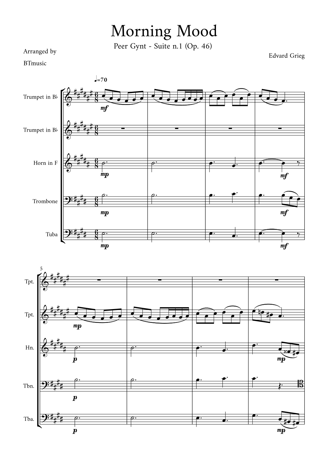 Morning Mood (Peer Gynt Suite N.1, Op 46) (arr. BTmusic)