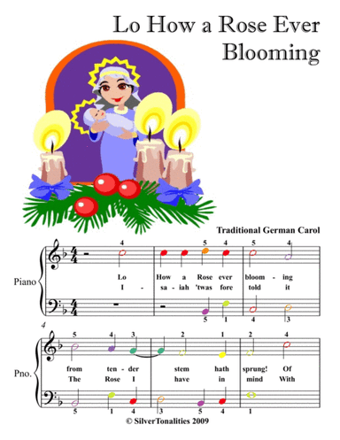 Lo How a Rose Ever Blooming Easiest Piano Sheet Music with Colored Notes (arr. SilverTonalities)
