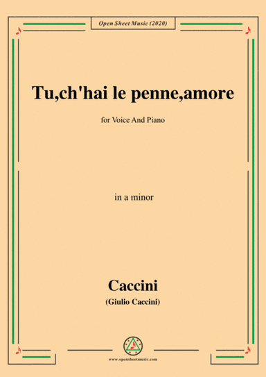 Caccini-Tu,ch'hai le penne,amore,in a minor,for Voice and Piano (arr. MSM)