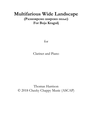 Multifarious Wide Landscape