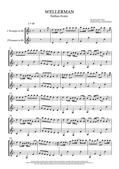 Wellerman (arr. Rebeca Goncalves)