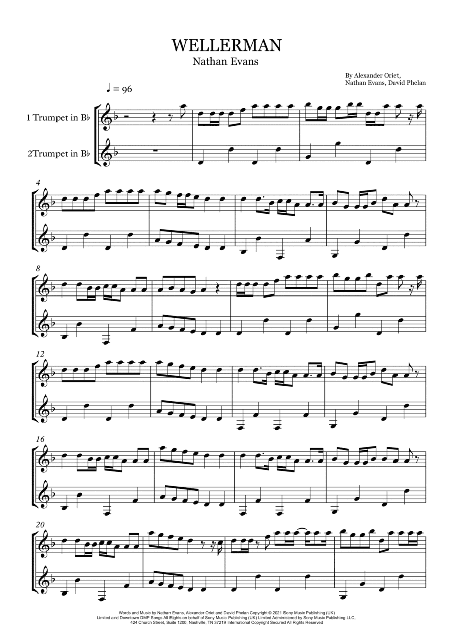 Wellerman (arr. Rebeca Goncalves)