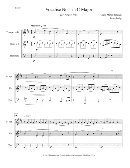 Vocalise No 1 in C Major (arr. James Bicigo)