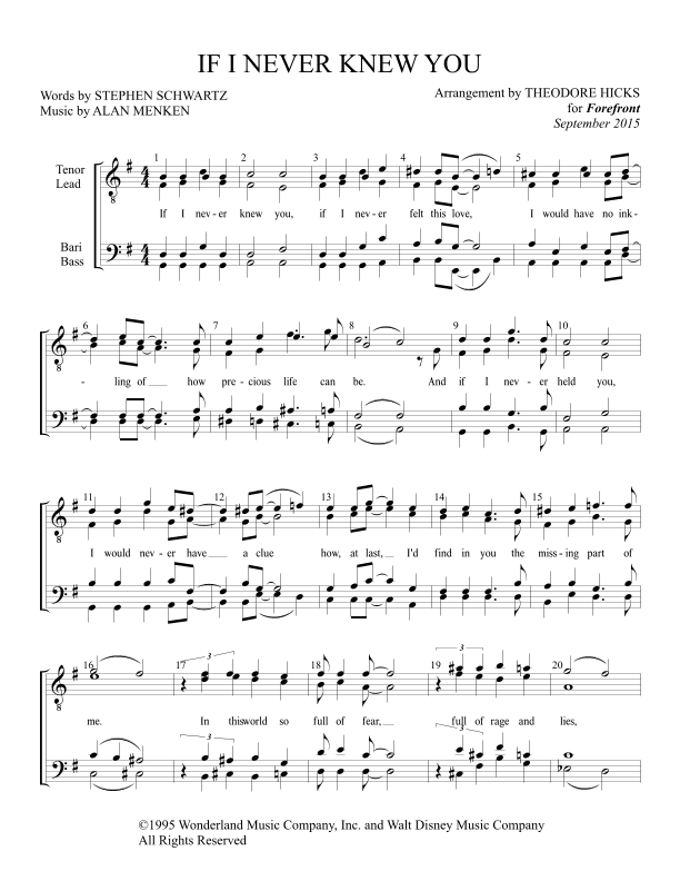 If I Never Knew You (end Title) (arr. Theodore Hicks)