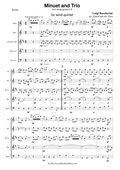 Minuet and Trio from Quintet in E (arr. Sjoerd van der Veen)