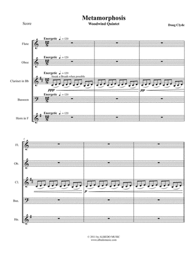 Metamorphosis (Woodwind Quintet)