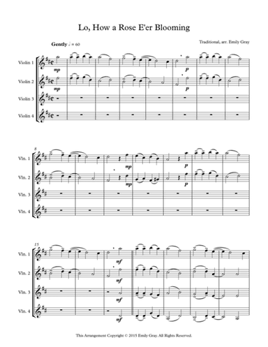 Lo, How a Rose E'er Blooming (4 violins) (arr. Emily Gray)