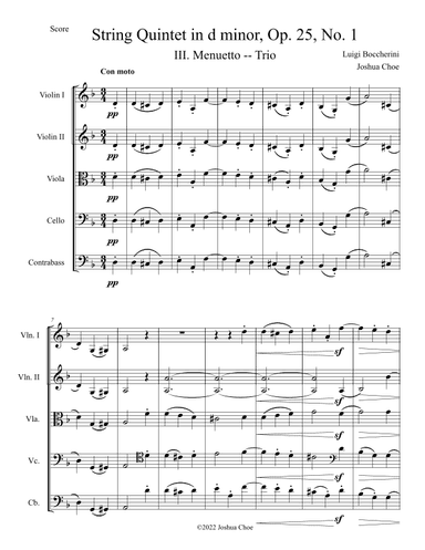 String Quintet in d minor, Op. 25, No. 1, Movement 3 (arr. Joshua Choe)