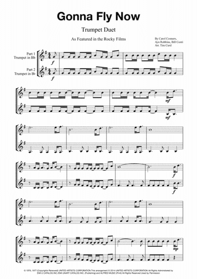 Gonna Fly Now (arr. Tim Curd)