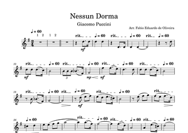 Nessun Dorma (Puccini) - Easy Arrangement (arr. Fabio Eduardo de Oliveira)