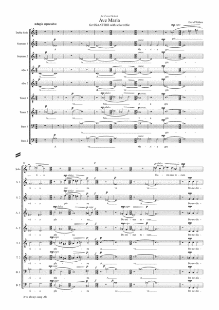 Ave Maria (SSAATTBB with treble solo)